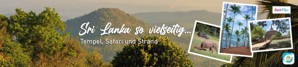 Sri Lanka zwischen Tempel & Standerlebnis