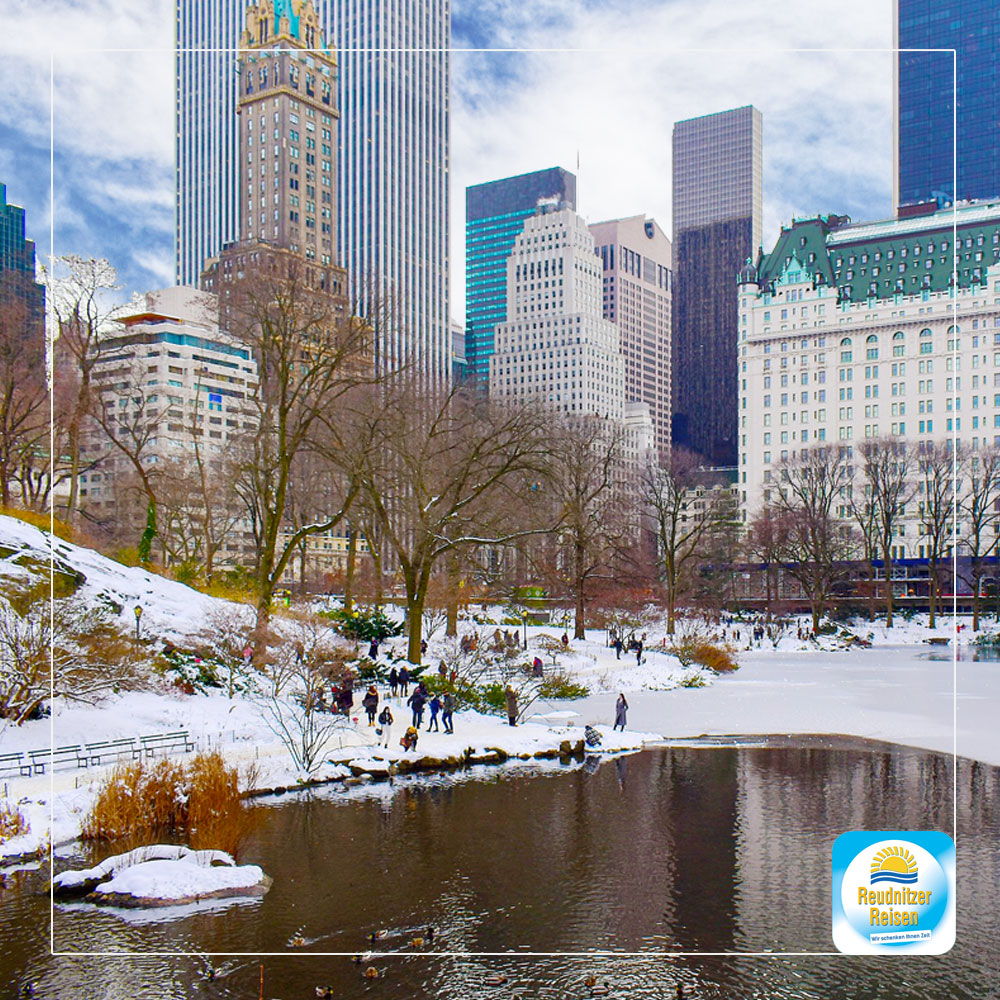 Central Park New York im Winter