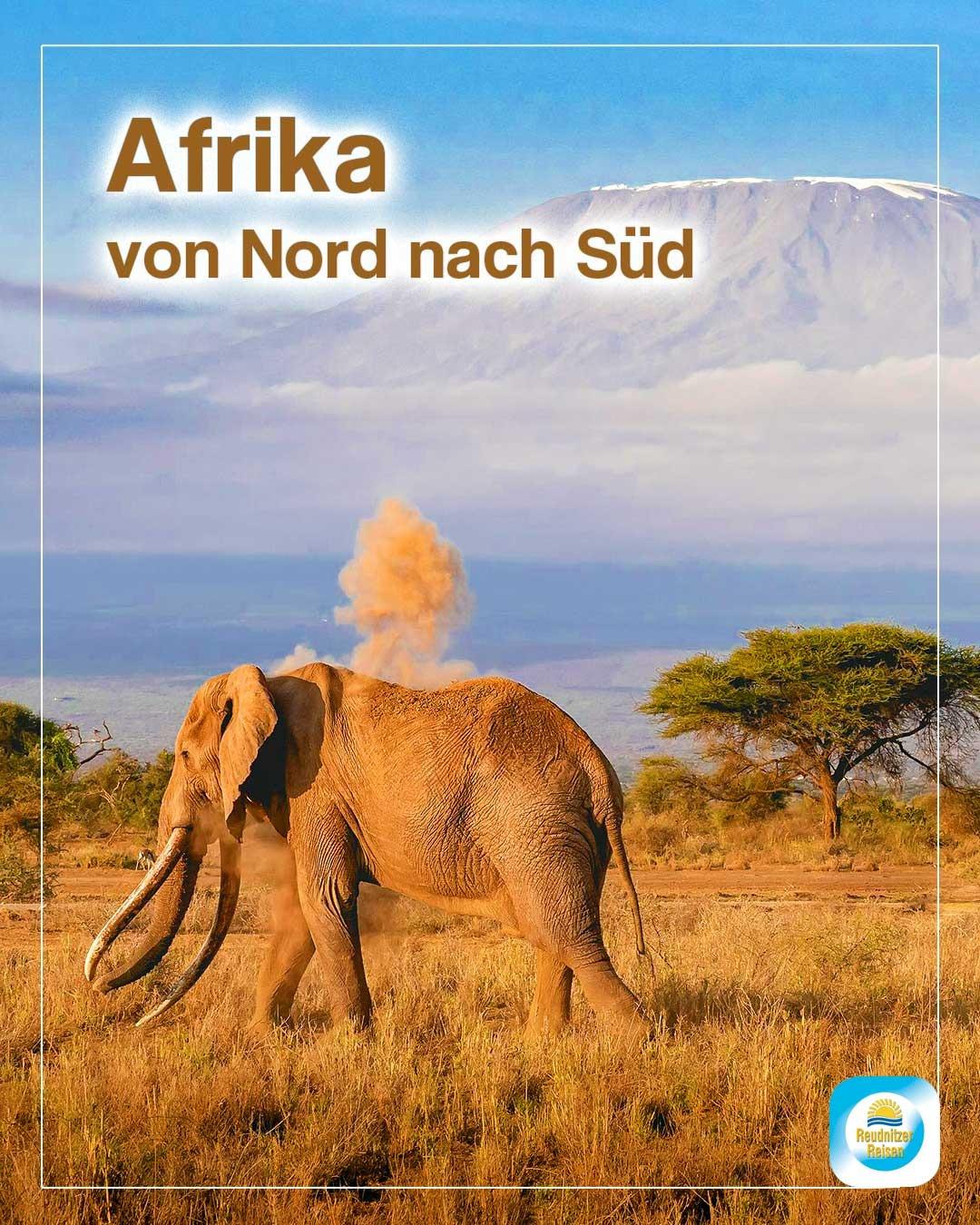 Afrika individuell